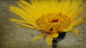 9401133692_1ae34a1f57_z