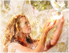 2468493873_ecf380df40_m